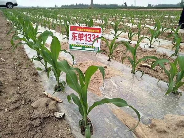 1584079959.jpg 微信图片_20200313141158.jpg