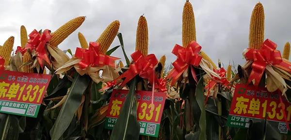 1601184168.jpg 微信图片_20200927132159.jpg