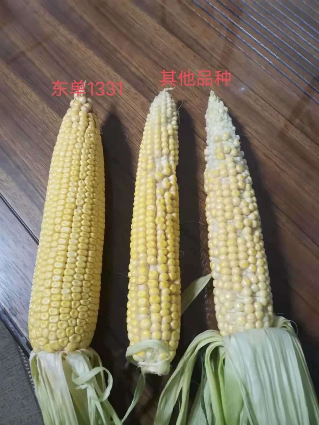 1658884492.jpg 1658884492.jpg